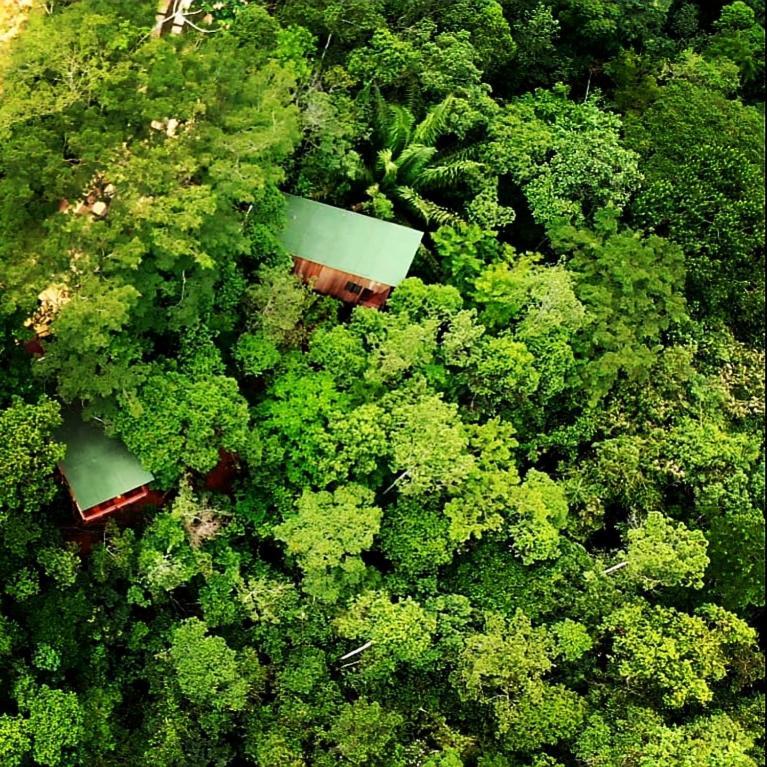 La Luciole Ecolodge Paraty Exterior photo